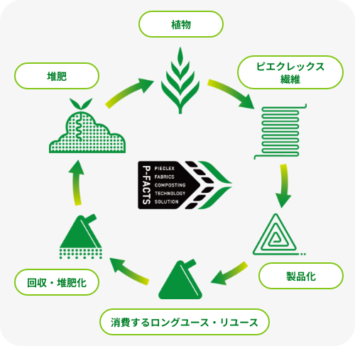 P-FACTS（ピーファクツ）とは？